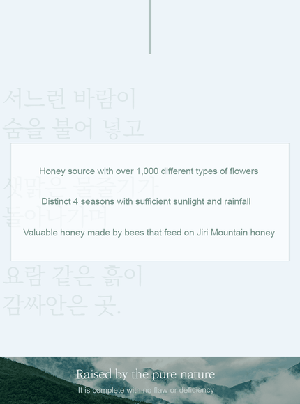 Honey Serum (30ml)